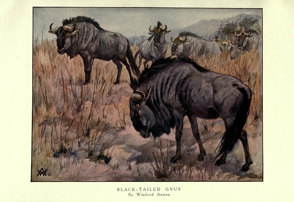 Drop Of A&nbsp;Tweet