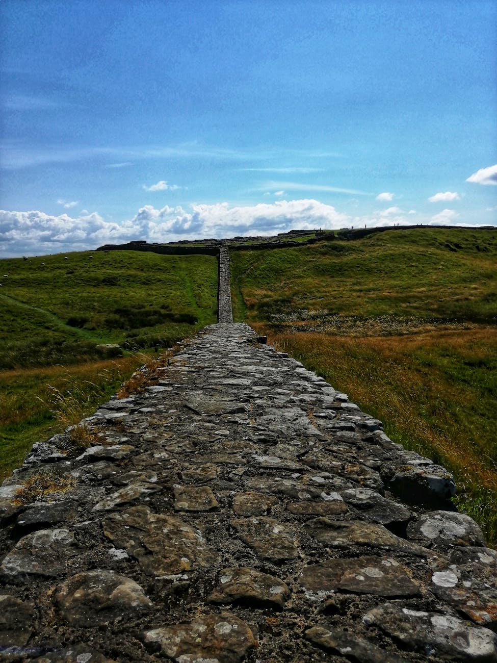 Unlocking Prosperity