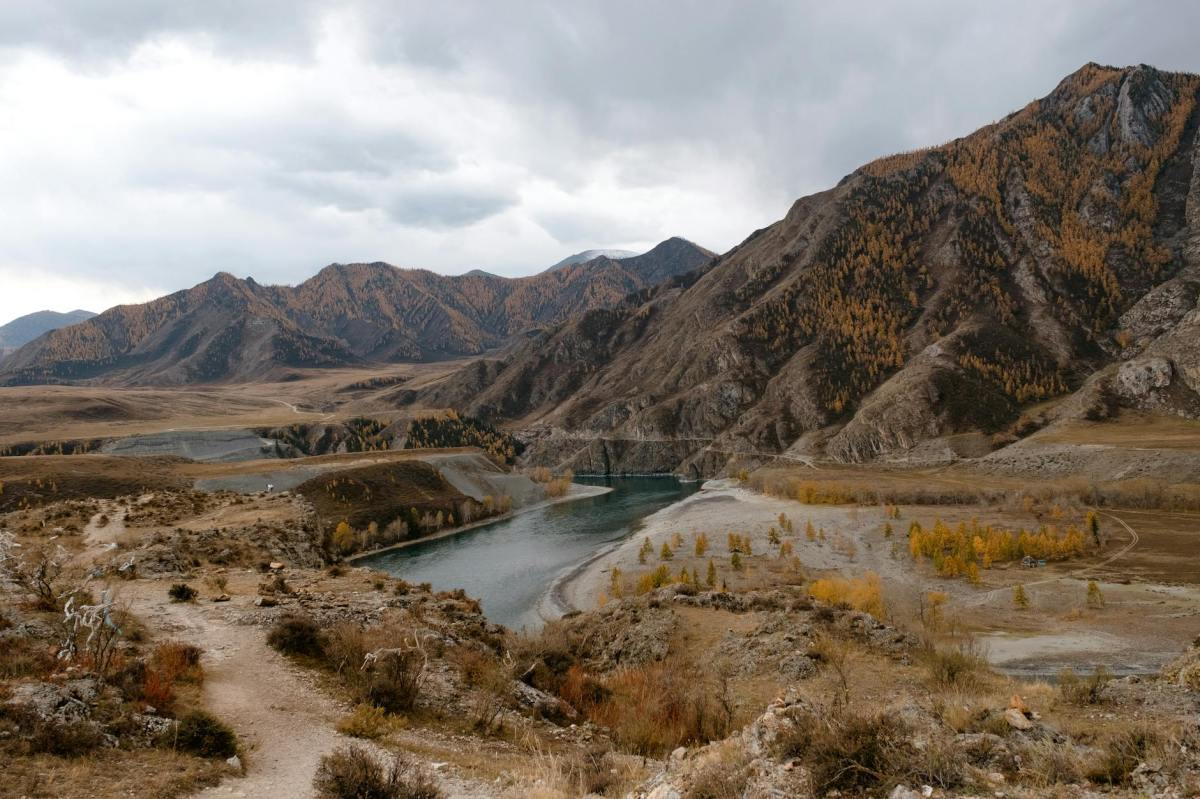 What If We Brought Back a&nbsp;Dinosaur?